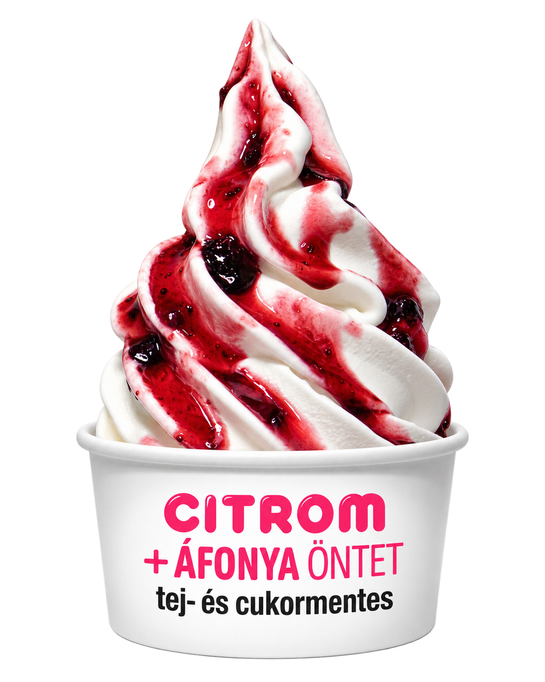 Citrom és áfonya öntet